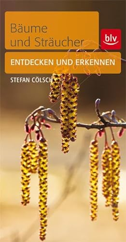 Bäume & Sträucher: Entdecken und erkennen