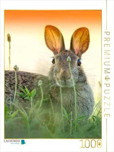 CALVENDO Puzzle Niedliche Hasen | 1000 Teile Lege-Größe 48 x 64 cm Foto-Puzzle für glückliche Stunden
