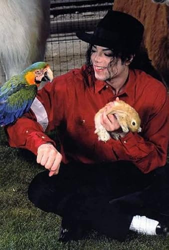 5d Diamond Painting Diamant Bilder FüR Michael Joseph Jackson US-amerikanischer Popsänger Michael Jackson DIY Kreuzstich Arts Craft Kristall Strass Stickerei 23.6x35.4(60x90cm) Kein Rahmen