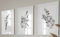 Eviepops Prints Eukalyptuspflanze Wandkunst, Set aus 3 Ungerahmter Druck, Wandkunst im botanischen Stil, Tropisches Pflanzendekor, Grau, Schlafzimmer Wohnkultur, Wohnzimmer Wandkunst (A4)
