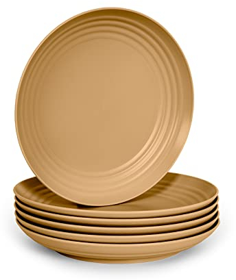 Lot de 6 assiettes en plastique dur réutilisables et incassables pour Noël et fêtes Classic (plat 20 or)