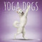Yoga Dogs - Joga-Hunde 2021 - 16-Monatskalender: Original BrownTrout-Kalender [Mehrsprachig] [Kalender] (Wall-Kalender)