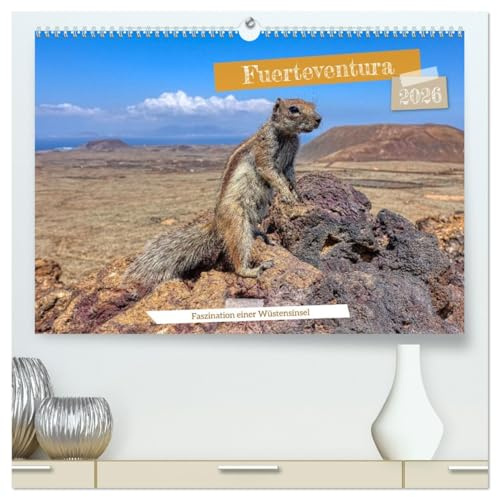 Fuerteventura - Faszination einer Wüsteninsel (hochwertiger Premium Wandkalender 2026 DIN A2 quer), Kunstdruck in Hochglanz: Impressionen von der Wüsteninsel der Kanaren (CALVENDO Orte)