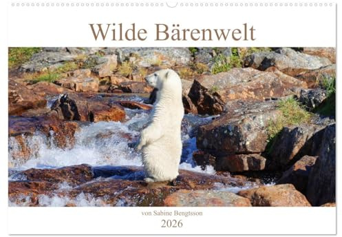 Wilde Bärenwelt (Wandkalender 2026 DIN A2 quer), CALVENDO Monatskalender: Bärenbegegnungen auf Augenhöhe mit freilebenden Eis- und Braunbären aus Kanada, Schweden und Japan. (CALVENDO Tiere)