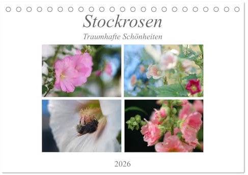 Stockrosen - Traumhafte Schönheiten (Tischkalender 2026 DIN A5 quer), CALVENDO Monatskalender: Stockrosen in voller Pracht in jahreszeitlicher Lichtstimmung (CALVENDO Natur)