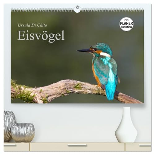 Eisvögel (hochwertiger Premium Wandkalender 2026 DIN A2 quer), Kunstdruck in Hochglanz: Ein Planer mit schönen Aufnahmen von Eisvögeln (CALVENDO Tiere)