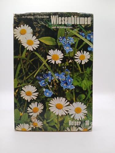 Wiesen- und Waldblumen. Wiesenblumen und Ackerblumen, Waldblumen, Gräser und Farne
