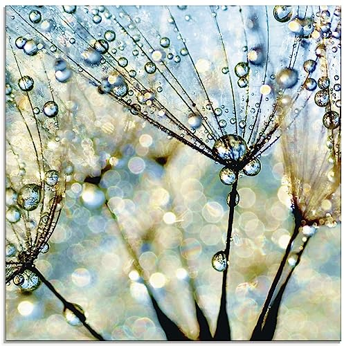ARTland Wanddeko Glasbilder Wandbild Glas Bild einteilig 50 x 50 cm Quadratisch Wellness innere Ruhe Pflanzen Blumen Pusteblume Regen Tau Wasser Diamanten S9MF