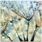 ARTland Wanddeko Glasbilder Wandbild Glas Bild einteilig 50 x 50 cm Quadratisch Wellness innere Ruhe Pflanzen Blumen Pusteblume Regen Tau Wasser Diamanten S9MF