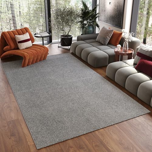 TAPISO Noyan Teppich Kurzflor Antirutsch Grau Einfarbig Waschbar Modern Design Waschmaschinenfest rutschfest Wohnzimmer Schlafzimmer ÖKOTEX 120 x 170 cm