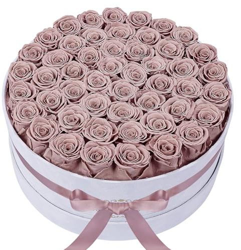 50 Piece Roses in a Velvet Box, Flowers for Delivery, Presereved Flowers Birthday Gifts for Women Mom and Wife (Dusty Rose)
