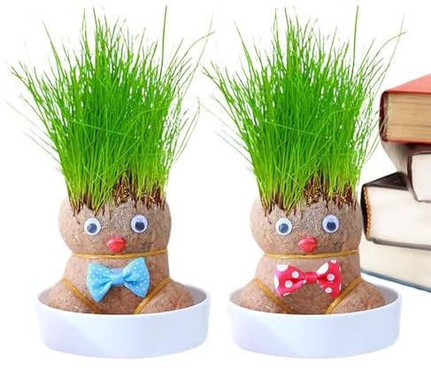 Generisch Lot de 2 poupées d' - Planteur à tête mignonne pour bureau et - de verte avec plateaux pour chambre à coucher, bureau et bureau - Jouet éducatif à faire soi-même
