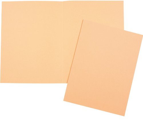 5 Star Aktendeckel chamois VE10