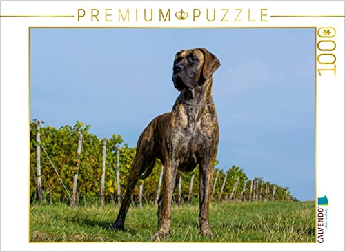 CALVENDO Puzzle EIN Motiv aus dem Kalender Deutsche Dogge 2017 | 1000 Teile Lege-Größe 64 x 48 cm Foto-Puzzle für glückliche Stunden