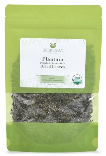 Biokoma Organic Plantain Leaf 1.76oz Plantago Tea Respiratory Skin Support