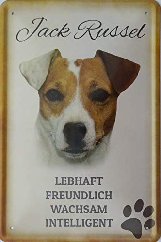 vielesguenstig-2013 Blechschild Schild 20x30cm - Jack Russel Hund Haustier Freund Familie Garten