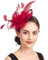 Fascinators Hut Blume Damen Mädchen Haar Mesh Feder Clip Elegant Haarklammer Schleier 20er Jahre Kopfschmuck Cocktail Tea Party Kopfbedeckung Pillbox Stirnband Haarnadel Haarschmuck Hochzeit Kirche