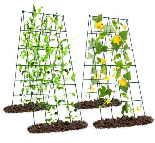 Ytaoeo Metall Gurke Rankgitter Tomaten Rankhilfe Garten 2 Stück, Spalier Gitternetz Kletterpflanzen Pflanzenstütze für Blumen & Nutzpflanzen, Einstellbare Breite, Grün