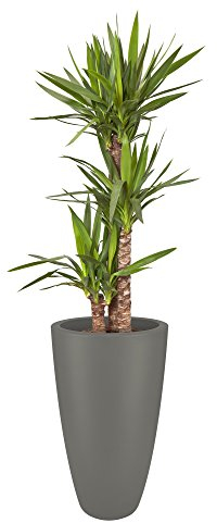 Elho Pure Soft Round High 40 - Pot De Fleurs - Gris Ciment - Intérieur & Extérieur - Ø 39 x H 70.1 cm