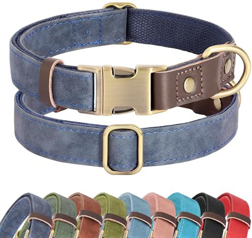 Didog Weich gepolstertes Lederhalsband für mittelgroße Hunde, klassisches Hundehalsband mit Metall-Schnellverschluss, verstellbar, mittelgroß, Kunstleder, blau, M