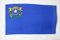 AZ FLAG - Flagge Nevada - 150x90 cm - Bundesstaat Nevada Fahne 100% Polyester mit Messing-Ösen - 110g