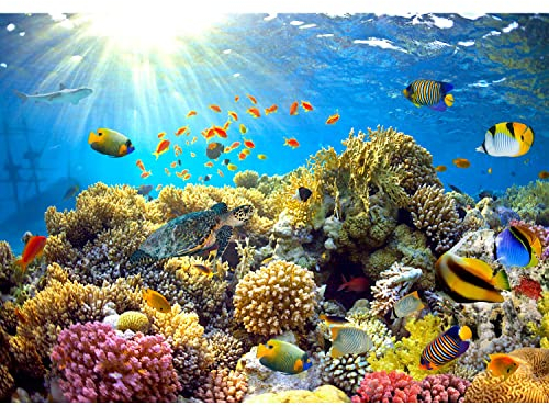 Runa Art Fototapete Aquarium Unterwasser 352 x 250 cm Vlies Tapeten XXL Moderne Wandtapete Wohnzimmer Schlafzimmer Bunt 9073011a
