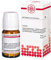 DHU Thuja C30 Tabletten, 80 St. Tabletten