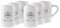 6er Warsteiner Steinkrug 6 x 0,5l Exclusive Gastro Edition