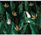 decomonkey Fototapete Abstrakt 400x280 cm Tapete Fototapeten Vlies Tapeten Vliestapete Wandtapete moderne Wand Wandbild Schlafzimmer Wohnzimmer Laub Tiere Pflanzen Affe Papagei Grün en