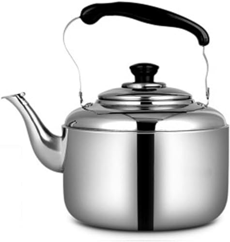 Tetera de acero inoxidable con silbato de gas, para el hogar, hervidor de inducción, tetera de 5 litros