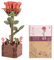 Delsen Fleurs Puzzle 3D Bois,Modélisation de Fleurs Einfach zu Erlernen und zu Bedienen,3D Puzzle en Bois für den Schreibtisch, das Wohnzimmer und Die Raumdekoration Verwendet Werden(Rose)