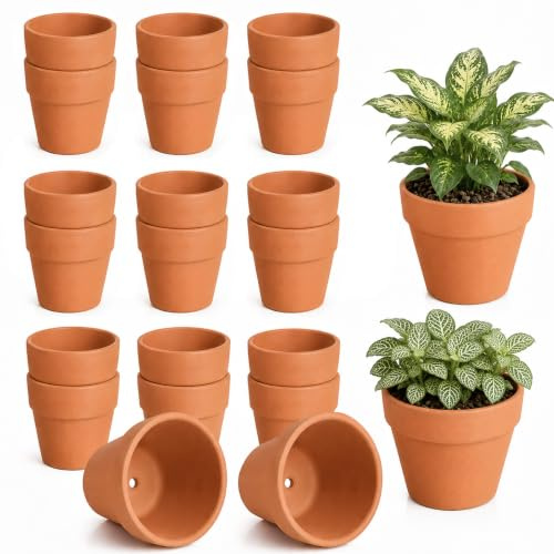 ZhouWei 20 Pièces Pot en Terre Cuite 5X5,5 cm des Trous Drainage au Fond | Pot Terre Cuite Comporte aux Projets de Bricolage, Pots de Fleurs pour Travaux Manuels Bureaux Intérieurs et Jardins