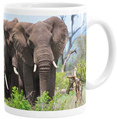 Merchandise for Fans Becher aus Keramik - 330 ml Motiv: Elefanten drei mächtige Bullen im Busch (02)