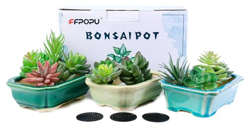 FFPOPU Kleine Bonsai-Töpfe aus Keramik mit Drainageschale, 3 Plektren, 15,2 cm, Bonsai-Baumtopf mit Eisrissglasur, Mini-Bonsai-Pflanztopf für Desktop-Dekoration von Zwergbäumen, Sukkulenten und