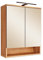 RIOM Spiegelschrank Bad mit LED-Beleuchtung in Artisan Eiche Optik - Badezimmerspiegel Schrank mit viel Stauraum - 60 x 75 x 22 cm (B/H/T)