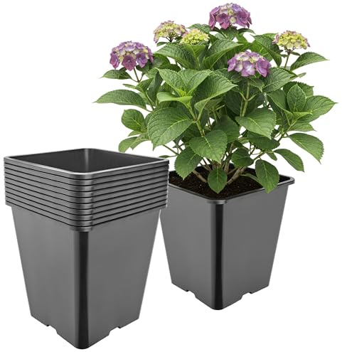 Garronda Pflanztopf Kunststoff hoch 25 x 25 x 26 cm (11L) 10er Set eckig mit Drainagelöchern Blumentopf PP Pflanzgefäß für Garten Gewächshaus Balkon Anzucht Innen Außenbereich Schwarz GD-0201