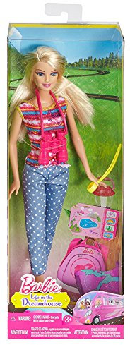 Barbie Life in The Dreamhouse: The Amaze Chase Camping Doll