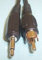 Consoletronic 3.5mm Mono Jack Plug To Single RCA Phono Plug Cable 2m