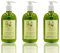 Awek.eu - Hotel Shampoo&Duschgel 2in1 Pumpflasche Oliva 500ml 1 Stück - Holzig