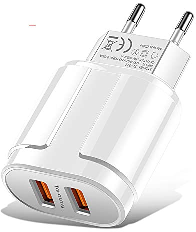 Davilis® Caricatore USB da Parete Muro 2.4A 5V Veloce Caricabatterie Alimentatore Presa USB 2 Porte, Spina per Smartphone Tablet iOS Android (Bianco)
