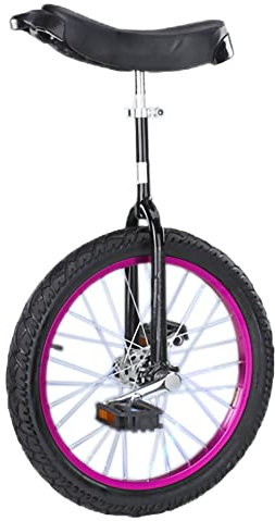 HXFENA Einrad,Einstellbare Balance Radfahren Roller Zirkusrad Jugend Adult Wheel Trainer ÜBung Einrad Fahrrad Aluminiumlegierung Felge / 24 Inches/Purple