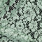 Stoff Meterware Spitze Blumen Polyester - 1 Meter, Damen, Kleider, Röcke, Dirndl, Schürzen, Deko, Damen, Kinder, Mädchen, Nähen (Hellgrün)