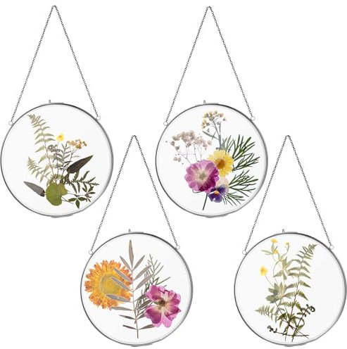 Qunclay Doppelglasrahmen für gepresste Blumen, rund, zum Aufhängen, Herbarium, schwimmende Blumenpresse, transparent, DIY, Vintage-Kunstwerk-Displayhalter, 20,3 cm, Schwarz, 4 Stück