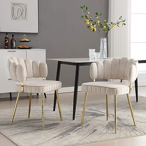Ligterra Samt Esszimmerstühle 2er Set, Stühle Esszimmer mit Armlehne，Küchenstühle, Schminktisch Stuhl mit Goldene Metallbeine, Sessel für Küche, Wohnzimmer, Büro, Beige