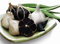 Huifang Fresh 200 Pz Aglio Semi di ortaggi da piantare Nero