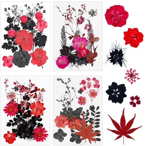 Cayway 64 Stück NatüRliche Getrocknete Gepresste Blumen für Harz, DIY Getrocknete Gepresste Blätter Blumen für Weihnachten Kunst Basteln DIY Harz Scrapbooking Handwerk (Rot-Schwarz-2)