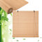 Bambusrollo Aussenbereich Bambus Jalousien Rollos Bambus Outdoor Sichtschutz Sonnenschutz Raffrollo für Garten Pergola 50 55 60 65 70 85 90 105 110 120 125 130 140 150 155 160 170 180cm Breit