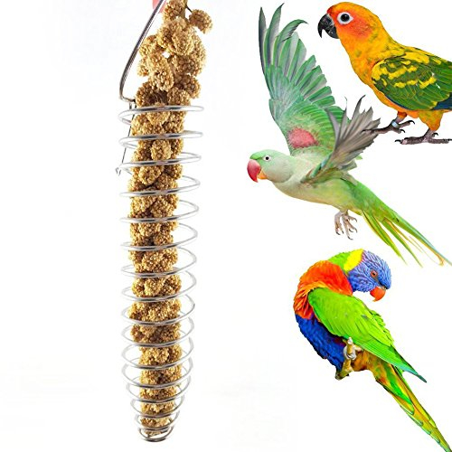 Mangiatoia a spirale portatile in acciaio inox per uccelli, pappagallo per animali domestici, frutta, per pappagalli, pappagalli, parrocchetti, cacatù, colore grigio africano