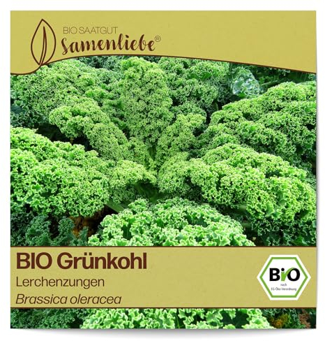 Samenliebe BIO Grünkohl Samen BIO Gemüsesamen alte Sorte Lerchenzungen 200 Samen Gemüse Samen Garten Grünkohl Saatgut samenfeste einjährig Pflanzen für Gewächshaus und Garten
