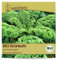 Samenliebe BIO Grünkohl Samen BIO Gemüsesamen alte Sorte Lerchenzungen 200 Samen Gemüse Samen Garten Grünkohl Saatgut samenfeste einjährig Pflanzen für Gewächshaus und Garten